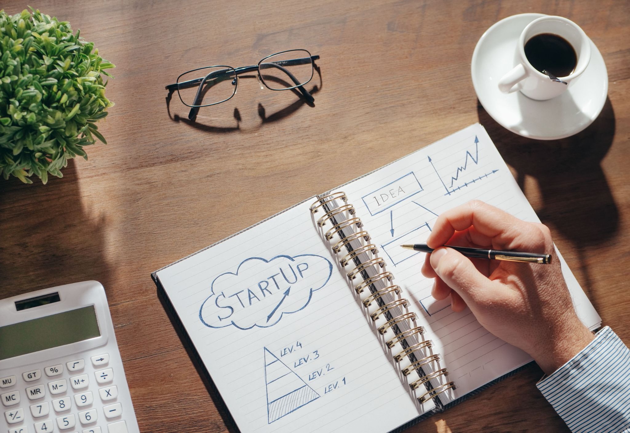 Why is the younger generation so engaged in entrepreneurship ?